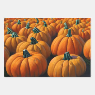 Pumpkin Patch Geschenkpapier Set