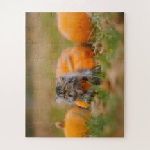Pumpkin Patch Guardian 🎃 🐾