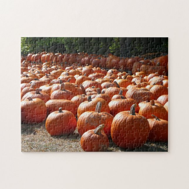 Pumpkin Patch Herbsternte Fotografie (Horizontal)
