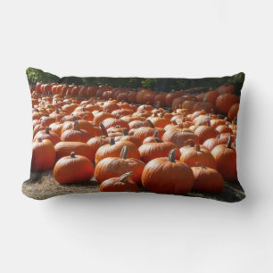 Pumpkin Patch Herbsternte Fotografie Lendenkissen