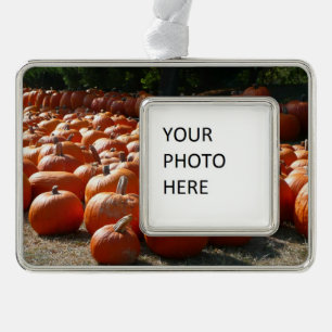 Pumpkin Patch Herbsternte Fotografie Rahmen-Ornament Silber