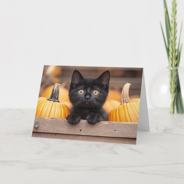 Pumpkin Patch Kitten Karte (Vorderseite)