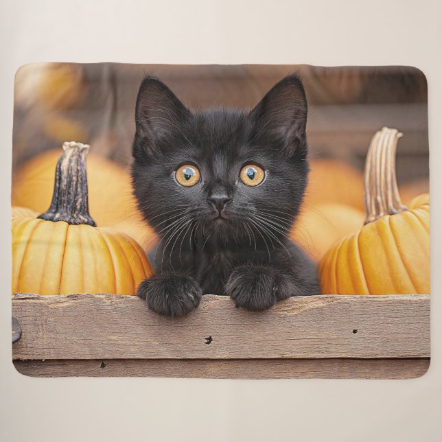 Pumpkin Patch Kitten Sherpadecke (Vorderseite (Horizontal))