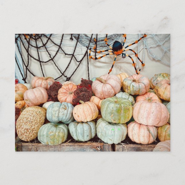 Pumpkin Patch Magic Postcard Postkarte (Vorderseite)