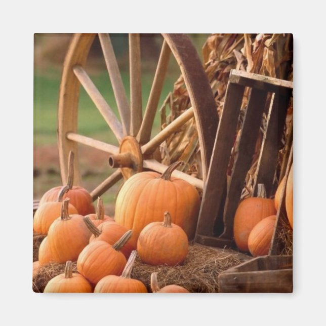 Pumpkin Patch Magnet (Vorne)