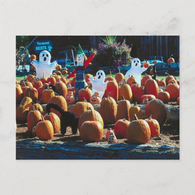 Pumpkin Patch mit Ghosts - Postcard Postkarte (Vorderseite)