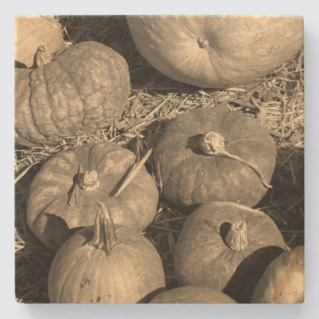 Pumpkin Patch Steinuntersetzer (Vorderseite)