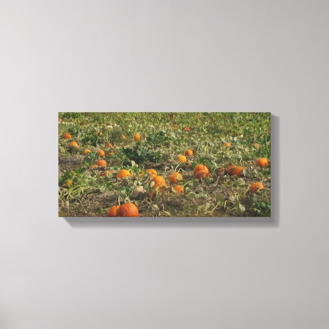 Pumpkin Patch Wall Art Leinwanddruck (Vorderseite)