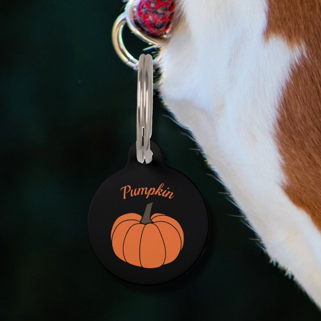 Pumpkin Pet Tag Haustiermarke (Pumpkin Pet Tag)