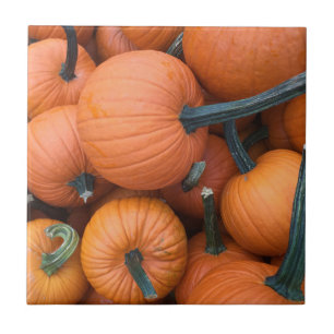 Pumpkin Pile! Fliese