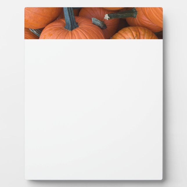 Pumpkin Pile! Fotoplatte (Vorderseite)