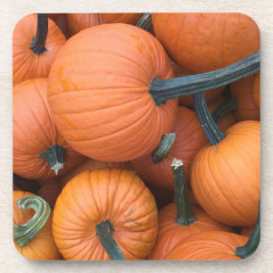 Pumpkin Pile! Getränkeuntersetzer