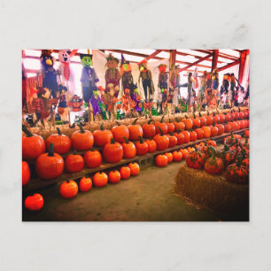 Pumpkin Postcard Postkarte