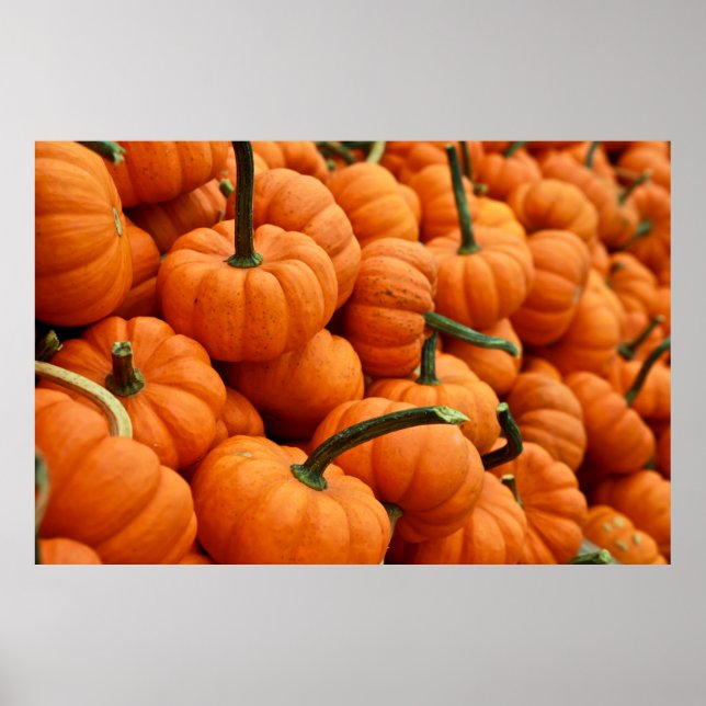 PUMPKIN POSTER (Vorne)