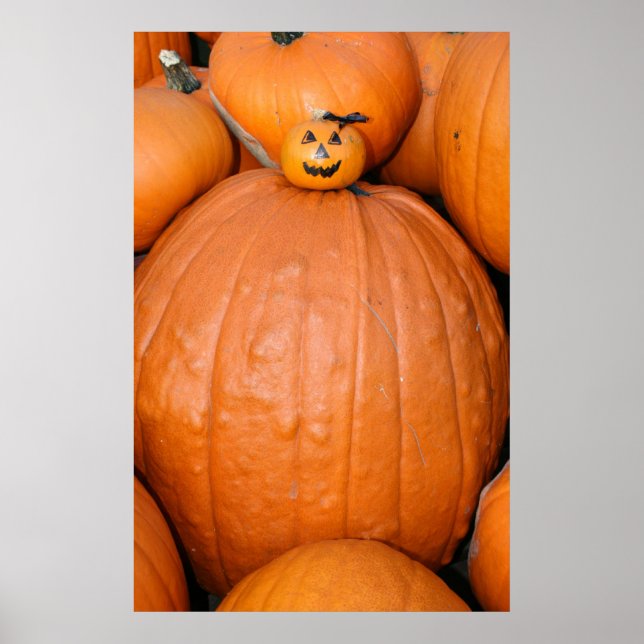 Pumpkin Poster (Vorne)