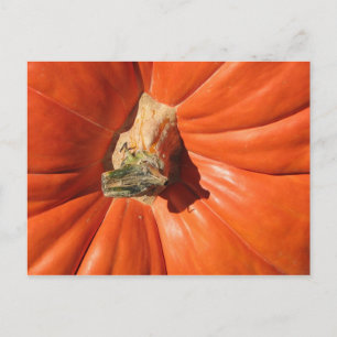 Pumpkin Postkarte