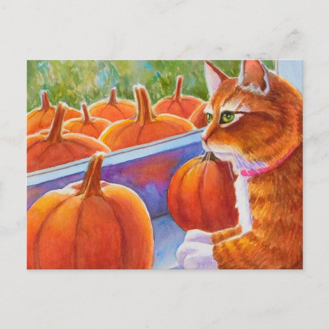 Pumpkin, Pumpkin Cat Postkarte (Vorderseite)