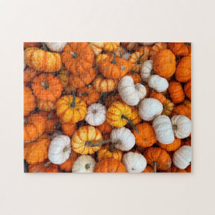 Pumpkin Puzzle