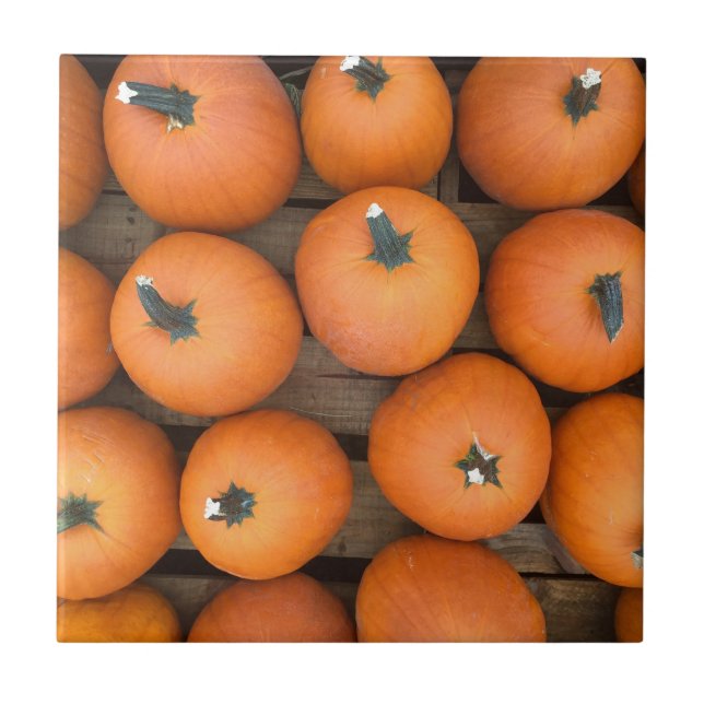 Pumpkin Rows Fliese (Vorderseite)