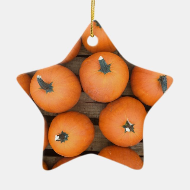 Pumpkin Rows Keramikornament (Vorne)
