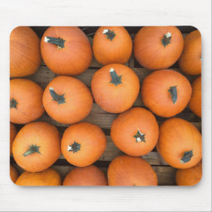 Pumpkin Rows Mousepad