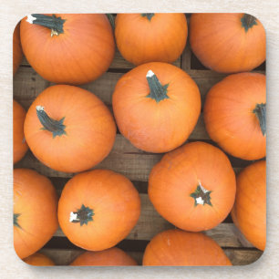 Pumpkin Rows Untersetzer