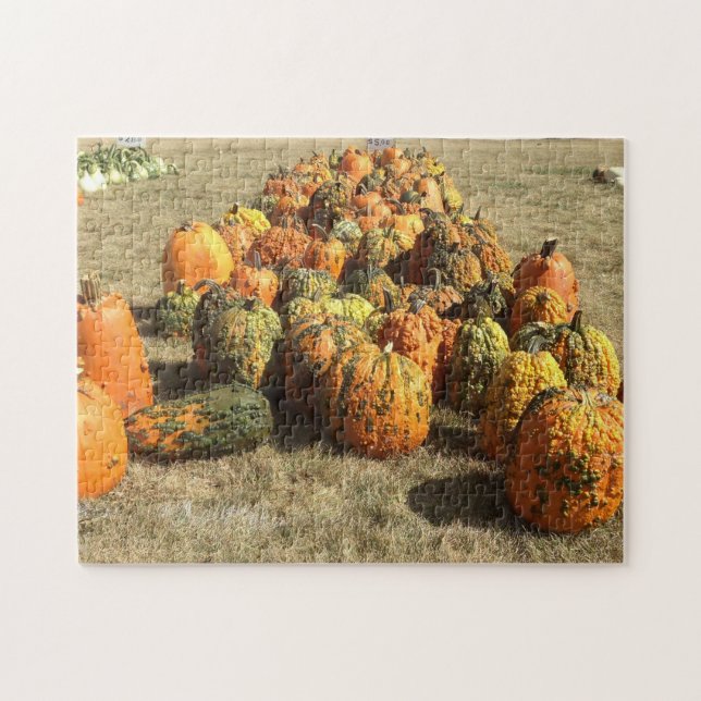 Pumpkin Sale Puzzle (Horizontal)