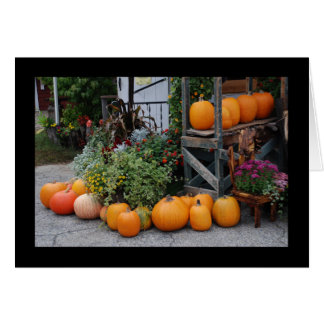 Pumpkin Stand