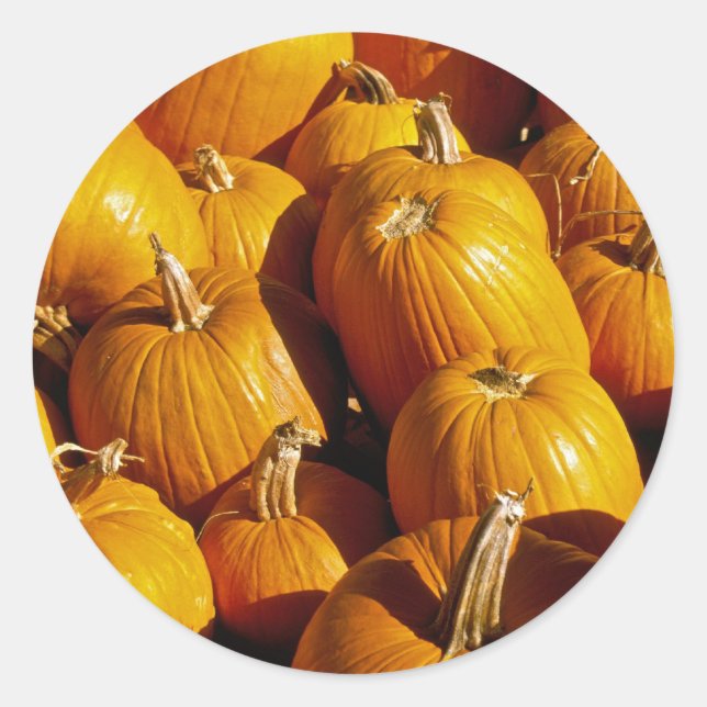 Pumpkin Stickers (Vorderseite)