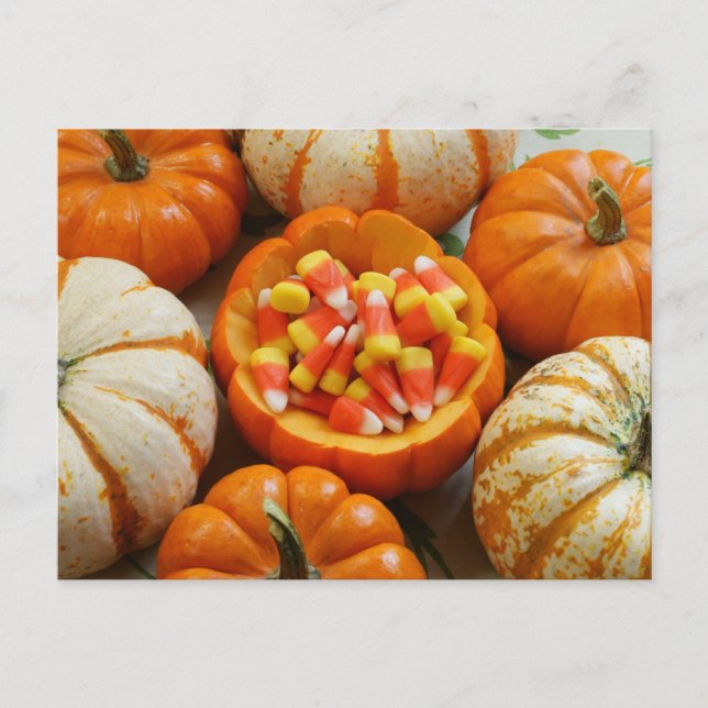 Pumpkin und Candy Corn Postkarte (Vorderseite)