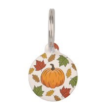 Pumpkin und farbenfrohe Herbstleaves & Pet's Info