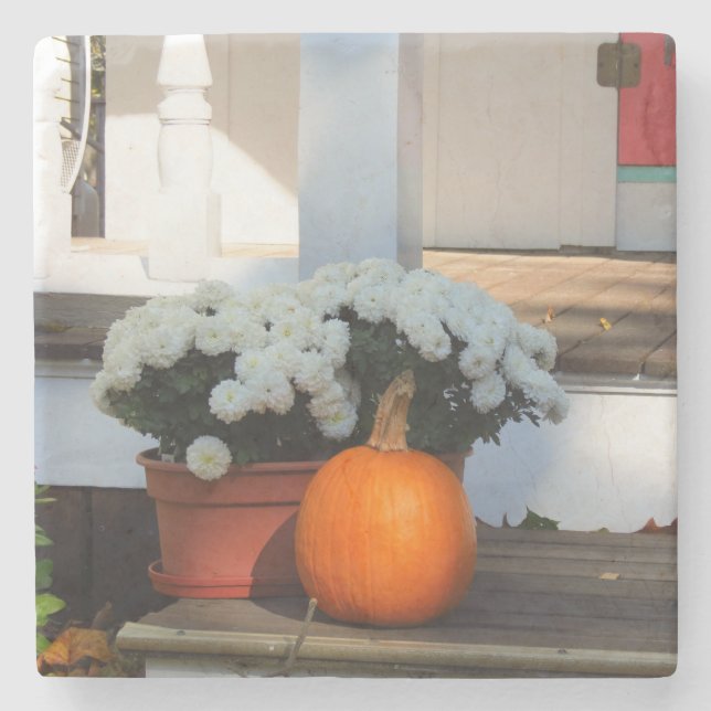Pumpkin und White Mums - Martha's Vineyard Steinuntersetzer (Vorderseite)