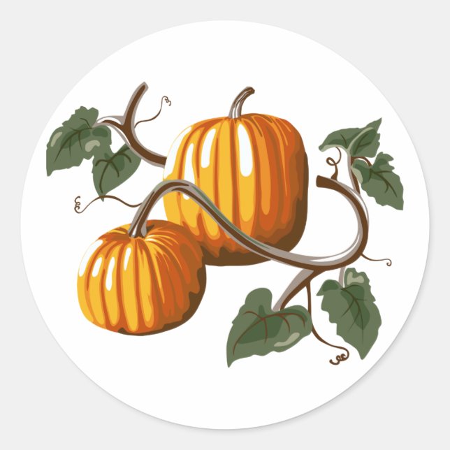 Pumpkin Vine Pumpkins Sticker (Vorderseite)