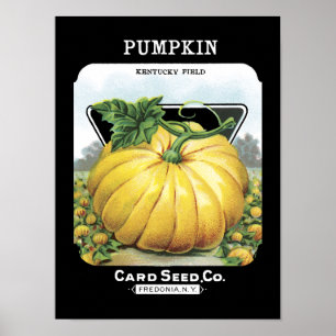 Pumpkin-Vintage Saatpackung Poster