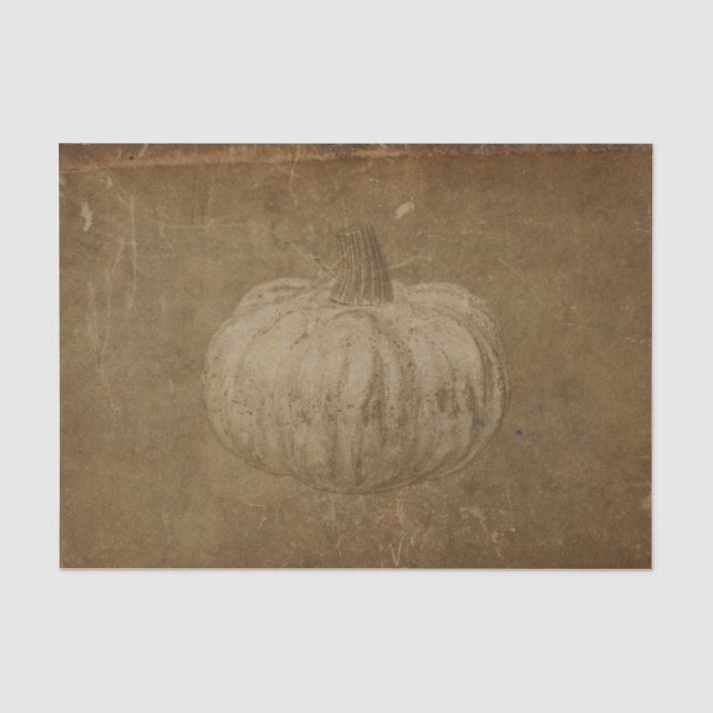 Pumpkin White Sepia Herbst Vintag Grunge Textur Seidenpapier (Vorderseite)