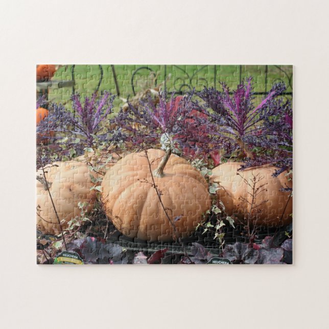 Pumpkins And Fall Plants  (Horizontal)