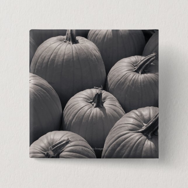 Pumpkins auf einem lokalen Bauernmarkt Button (Vorderseite)