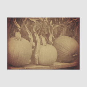 Pumpkins Cornstalks fallen Vintag Look Decoupage Seidenpapier