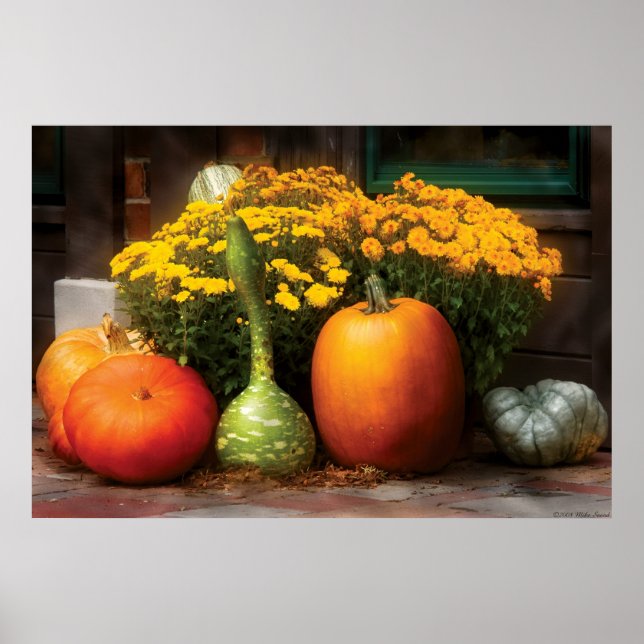 Pumpkins - Die Gang ist hier Poster (Vorne)