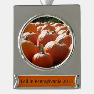 Pumpkins Foto für Herbst, Halloween oder Erntedank Banner-Ornament Silber