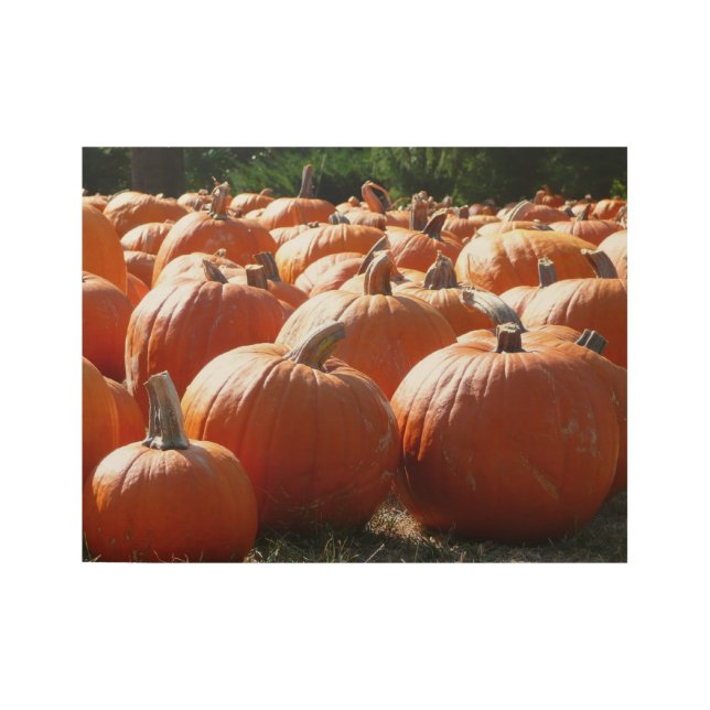 Pumpkins Foto für Herbst, Halloween oder Erntedank Holzposter (Vorderseite)