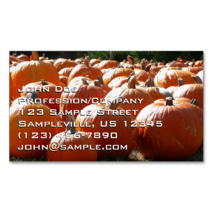 Pumpkins Foto für Herbst, Halloween oder Erntedank Magnetische Visitenkarte