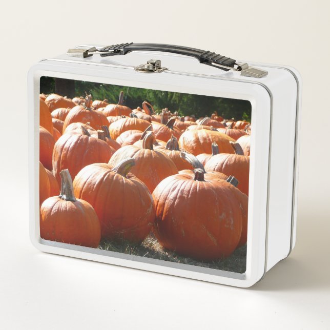 Pumpkins Foto für Herbst, Halloween oder Erntedank Metall Brotdose (Vorderseite)