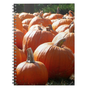 Pumpkins Foto für Herbst, Halloween oder Erntedank Notizblock
