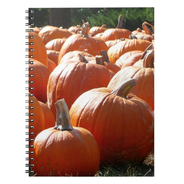 Pumpkins Foto für Herbst, Halloween oder Erntedank Notizblock (Vorderseite)