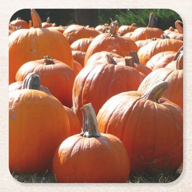 Pumpkins Foto für Herbst, Halloween oder Erntedank Rechteckiger Pappuntersetzer (Vorderseite)