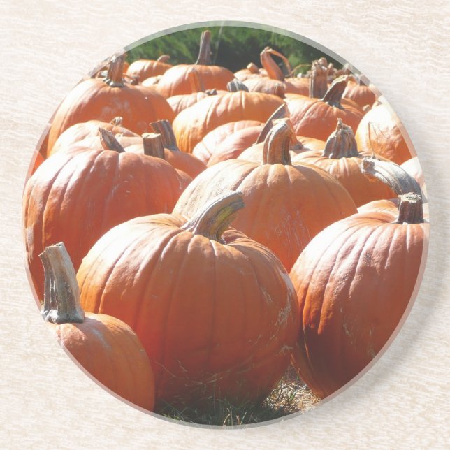 Pumpkins Foto für Herbst, Halloween oder Erntedank Sandstein Untersetzer (Vorne)