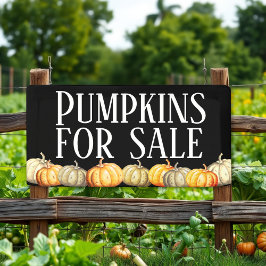 Pumpkins für Werbebanner Banner