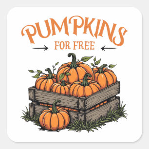 Pumpkins gratis - Herbstliebhaber Quadratischer Aufkleber
