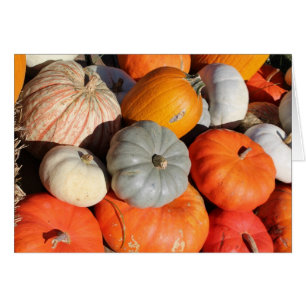 Pumpkins Grußkarte